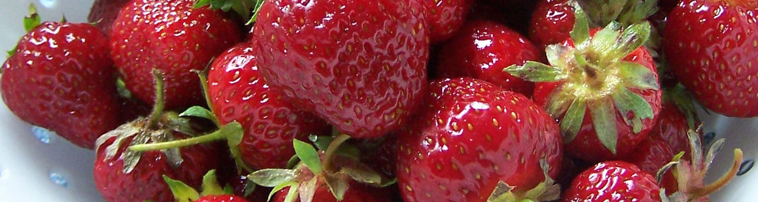 bck_strawberries_7965